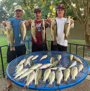 Meet your Posher, Dawson